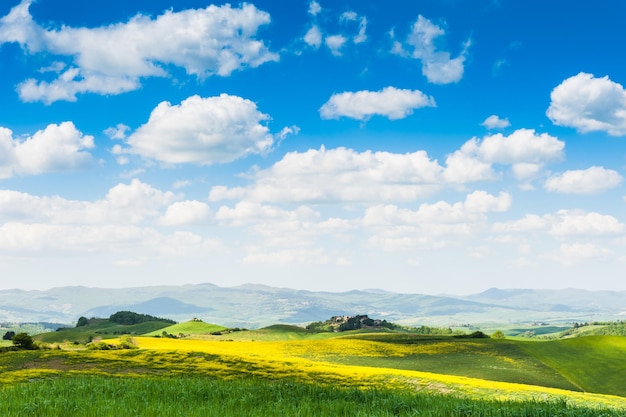 緑の野原と青い空。美しいトスカーナの風景、チェルタルド県、イタリア