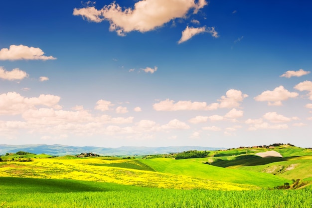 Green fields and blue sky. Beautiful Tuscany landscape, province of Certaldo, Italy