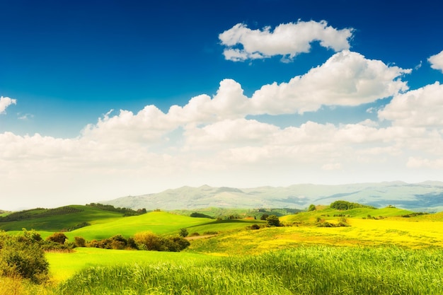 Зеленые поля и голубое небо в Тоскане, Италия. Летний пейзаж