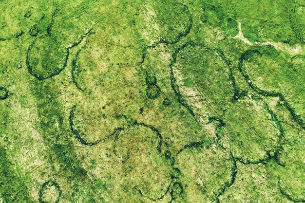 Green fields from above