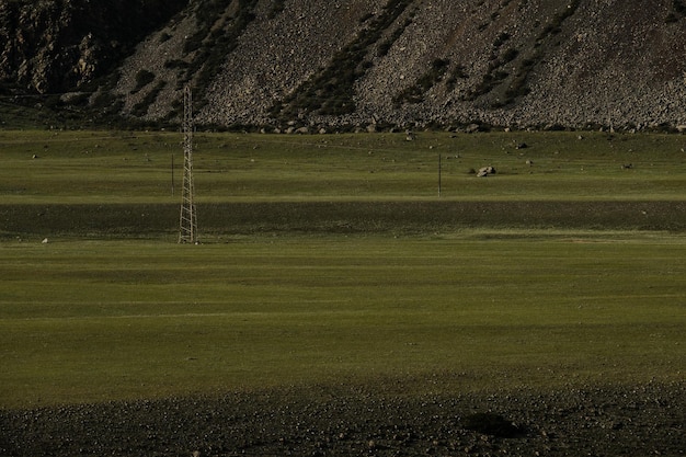 Green fields and slopes of the Altai Mountains