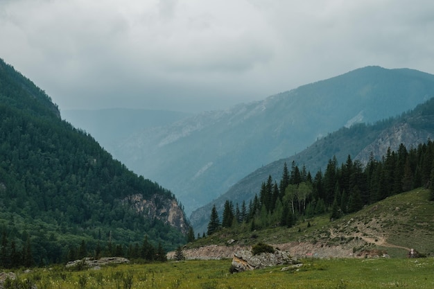 Green fields and slopes of the Altai Mountains