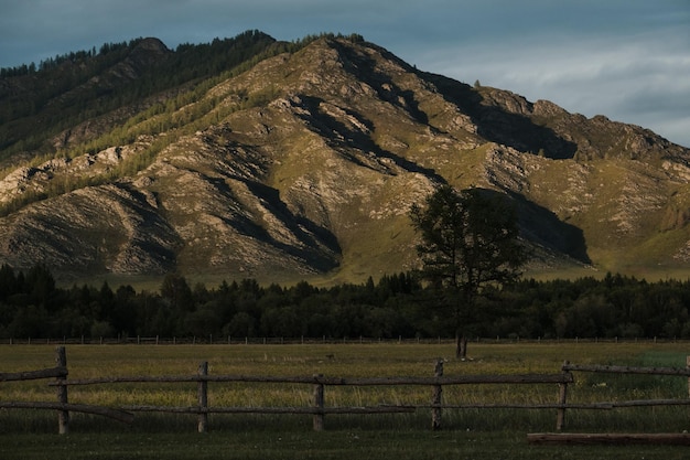 Green fields and slopes of the Altai Mountains