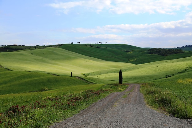 Foto campi verdi in toscana, in italia, in primavera