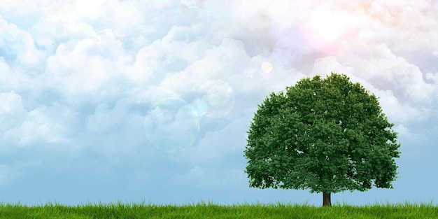 Зеленые поля и деревья Облачное небо солнце светит Панорамный вид 3D иллюстрация