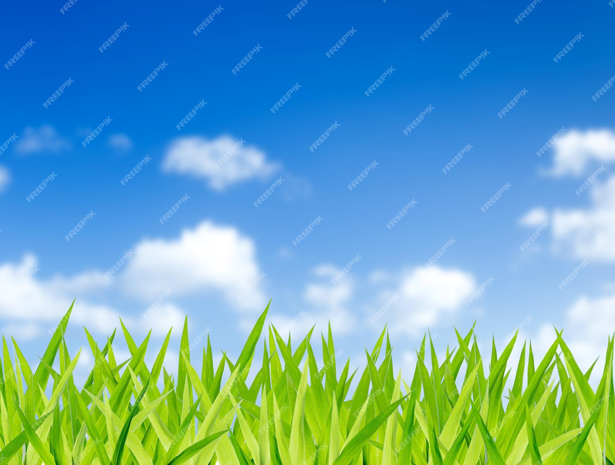 4,000+ Sky Grass Cartoon Pictures 4,000+ Sky Grass Cartoon Pictures