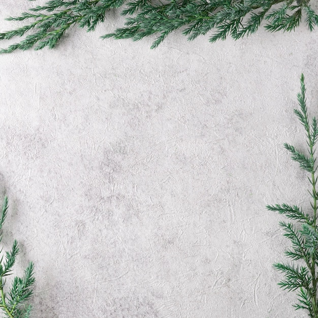 Green fir branches framing light background under concrete