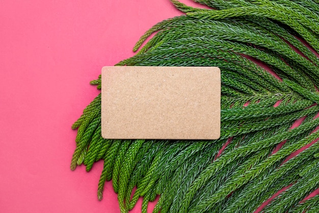 Green fir tree spruce branch and empty business card