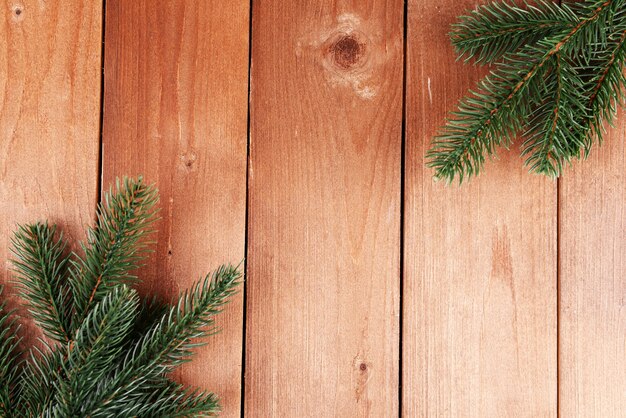 Green fir tree on wooden background