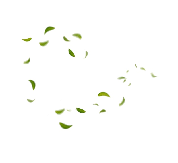 Foglie verdi fluttuanti foglie volanti foglie verdi danzanti, atmosfera del purificatore d'aria immagine principale semplice