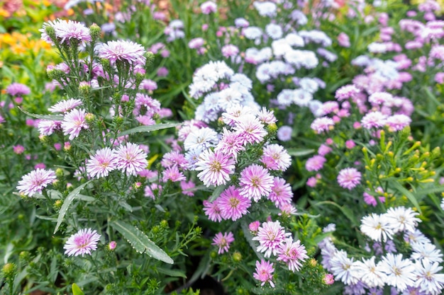 緑の花の背景