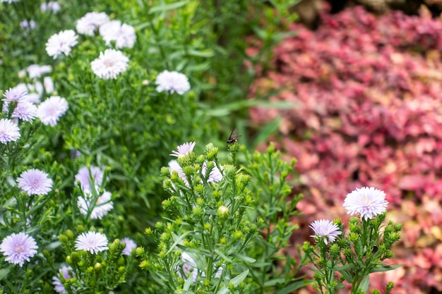 緑の花の背景