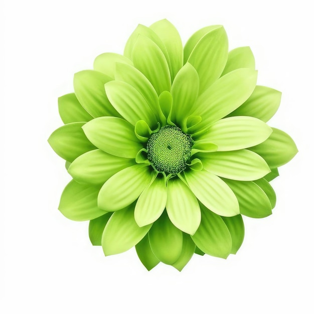 A green flower with the green center is shown in the center.