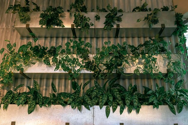 Green flowers in containers on the cafe wall decor flower boxes