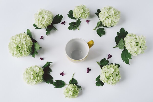 白い背景の上の黄色のカップの周りに横たわる円の形の緑の花