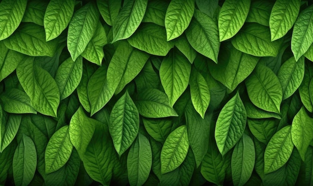 Photo green foliage wallpaper forest group leaves for banner postcard book illustration card created with generative ai tools