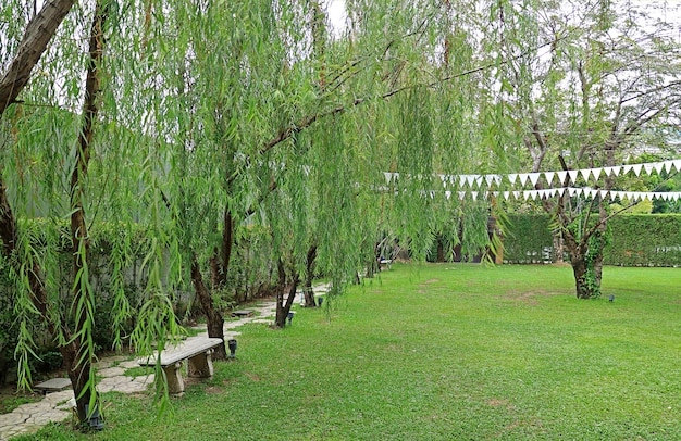 公共公園の空のベンチと緑の葉