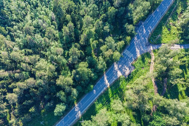 Зеленый лес с высоты птичьего полета. Дорога в лесу сверху.