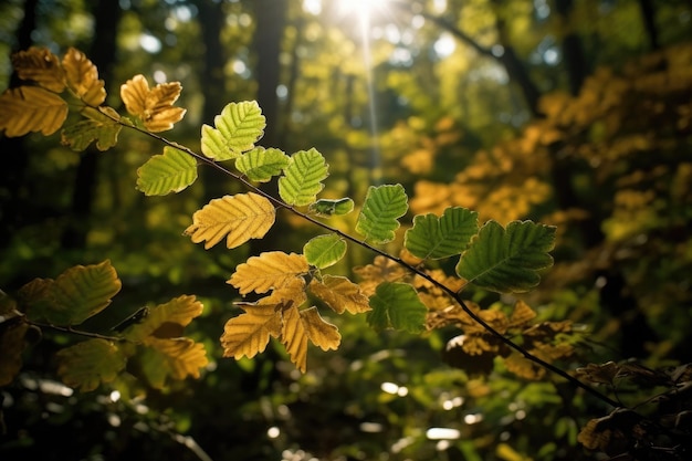 Green forest landscape photo Generative AI