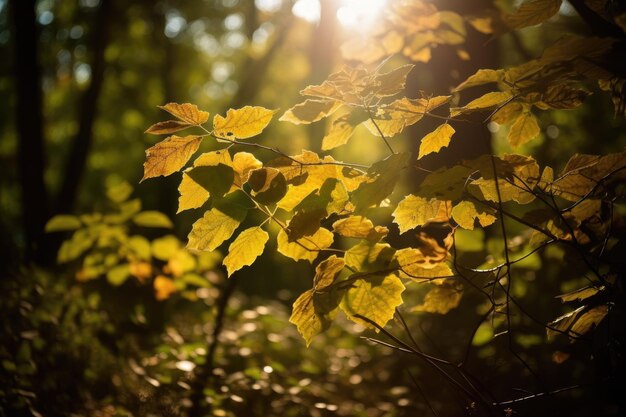 Green forest landscape photo Generative AI