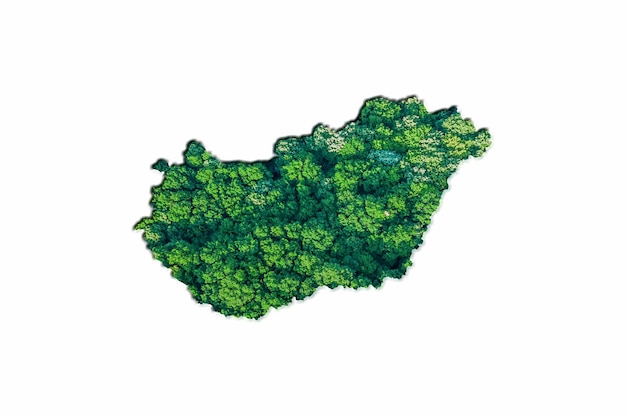 Green Forest Map of Hungary, on white background