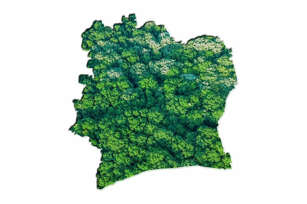 Green Forest Map of Ivory Coast, on white background