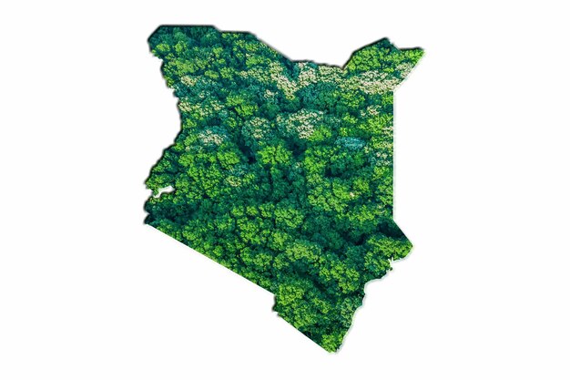 Green Forest Map of Kenya, on white background