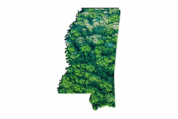 Green Forest Map of Mississippi, on white background