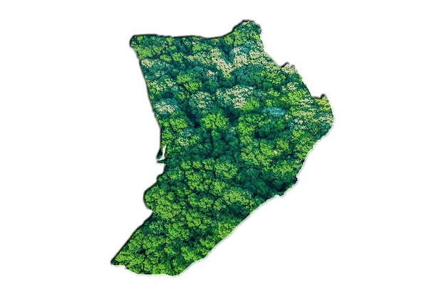 Green Forest Map of Palau, on white background