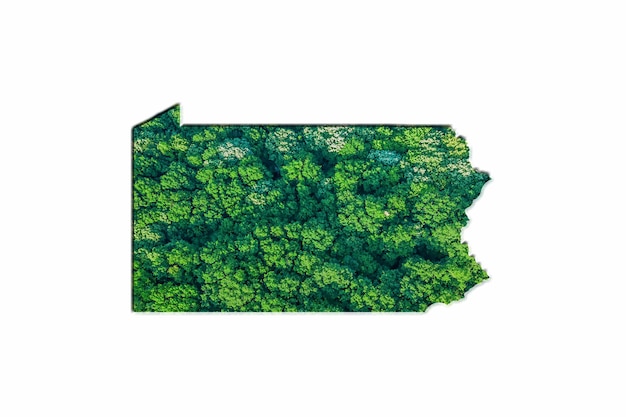白い背景の上のペンシルベニア州の緑の森の地図