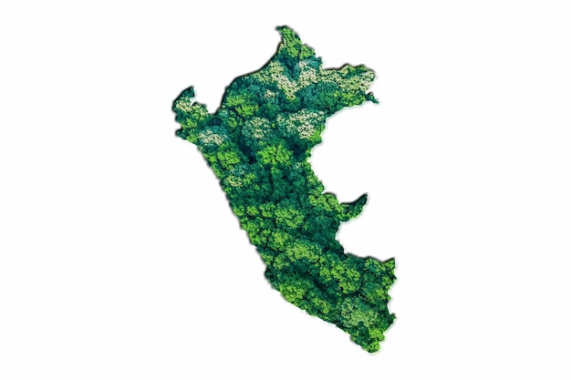 Mappa della foresta verde del perù, su sfondo bianco