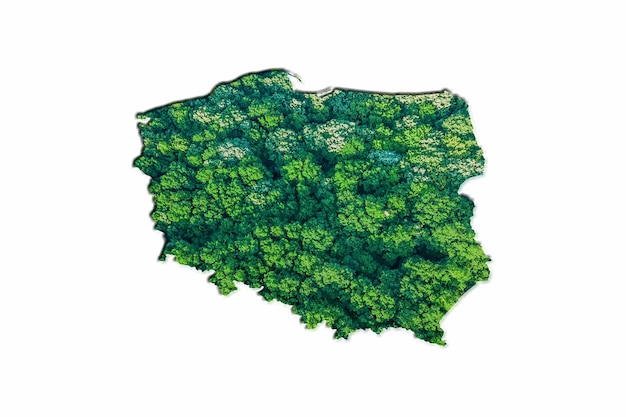 Green Forest Map of Poland, on white background