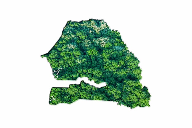 Green Forest Map of Senegal, on white background