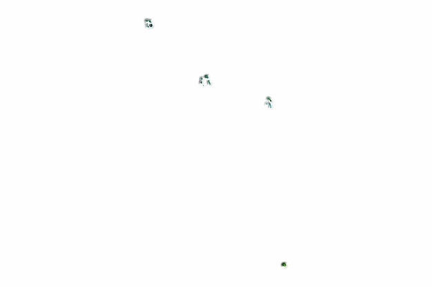 흰색 배경에 Tokelau의 녹색 숲 지도