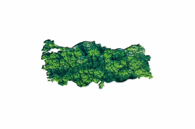 Green Forest Map of Turkey, on white background