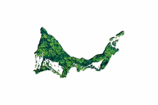 Green Forest Map of Turks and Caicos Islands, on white background