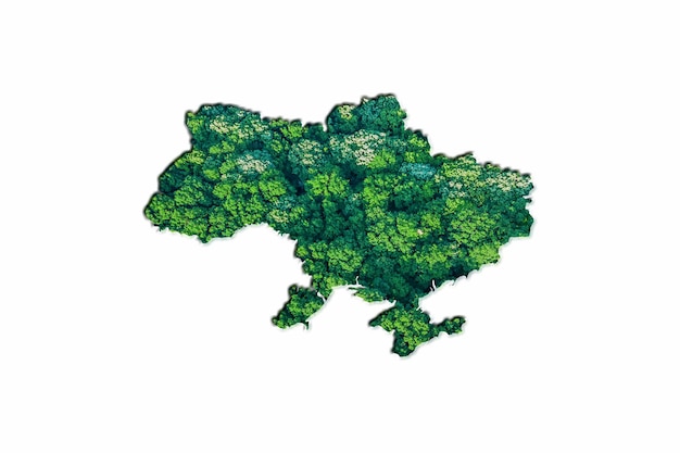 Green Forest Map of Ukraine, on white background