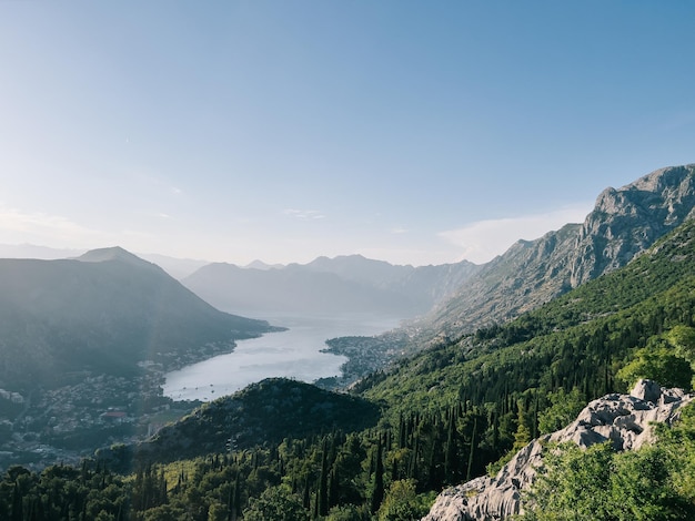 Green forest in the mountains above the bay of kotor montenegro