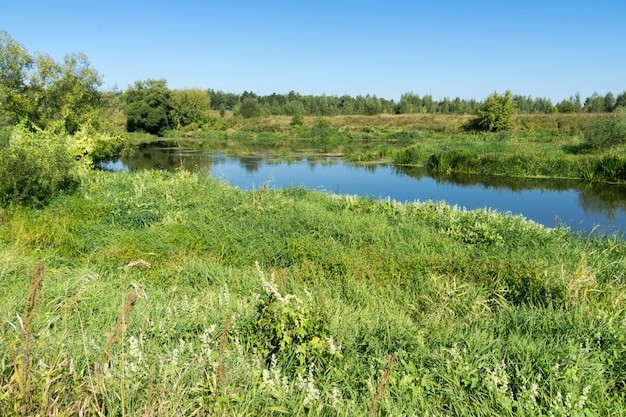 Зеленый лес и река