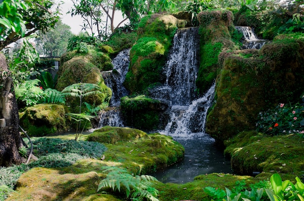 Green forest and waterfall