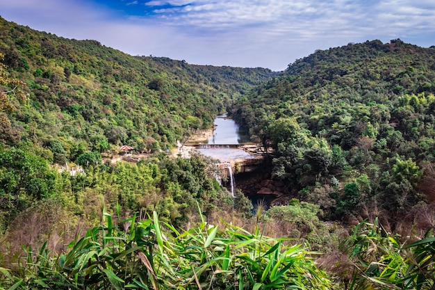 Foto foreste verdi con un fiume che scorre e un cielo blu brillante al mattino da un angolo piatto