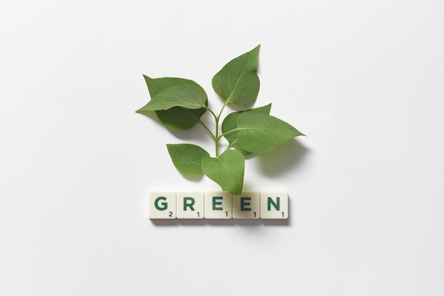 Green formed of scrabble tiles with tree leaves