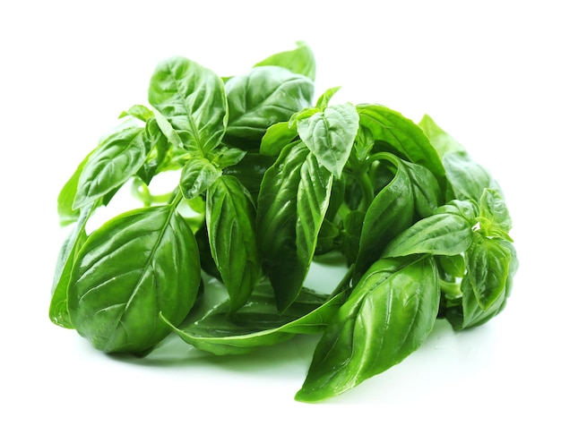 Green fresh basil isolated on white