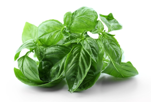 green fresh basil isolated on white
