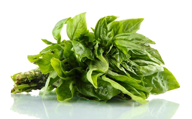 Green fresh basil isolated on white