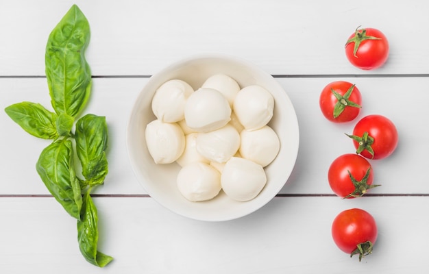 Green fresh basil leaves and red tomatoes with bowl of mozzarella cheese balls