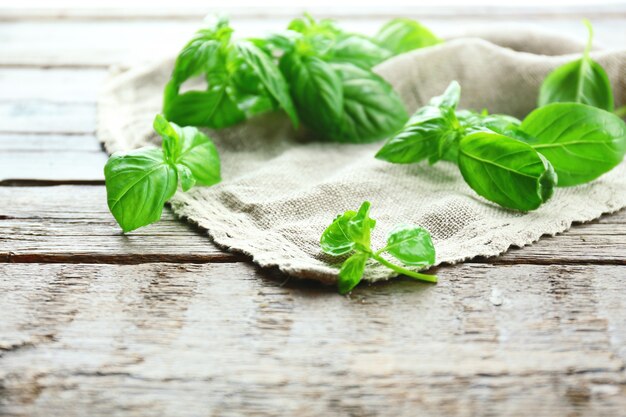 Green fresh basil with napkin on table