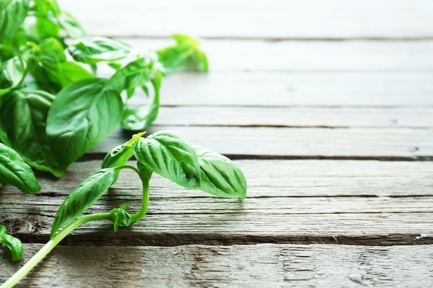 Green fresh basil on wooden background