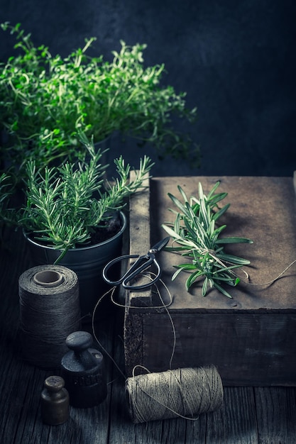 Green and fresh green herbs in a rustic kitchen