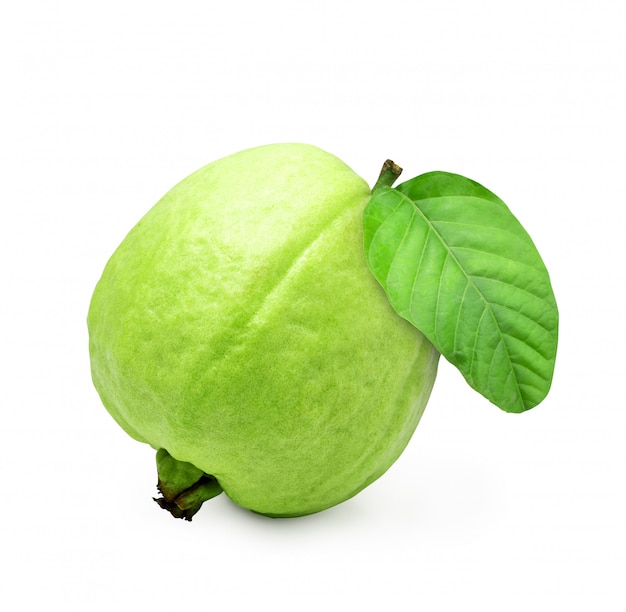 Green fresh guava fruit isolated on white background